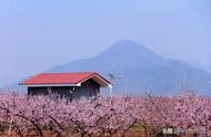迎接春天的到来：平谷春季五大旅游节的全面盘点
